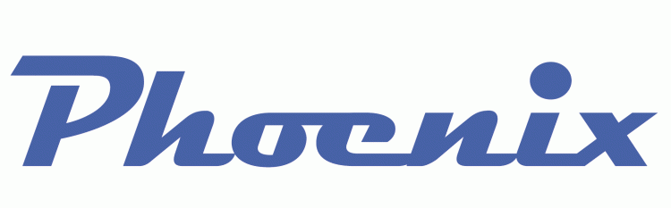 Phoenix Mercury 1997-2010 Wordmark Logo v2 iron on transfers for clothing